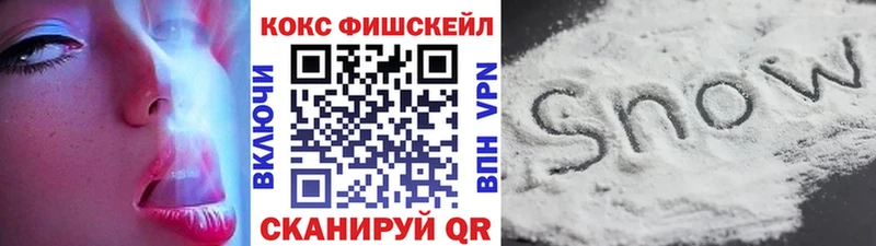 COCAIN FishScale  Купить закладки  Кимры 