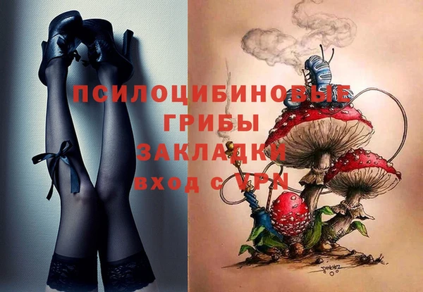 mix Гусиноозёрск