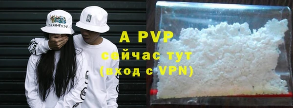 стафф Гусев