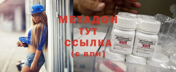 стаф Ельня