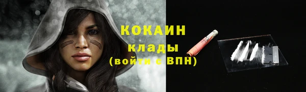 дживик Гусь-Хрустальный