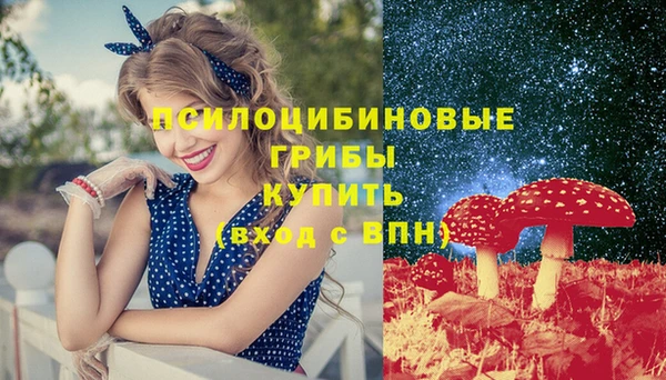 дживик Гусь-Хрустальный