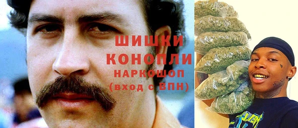 стафф Гусев