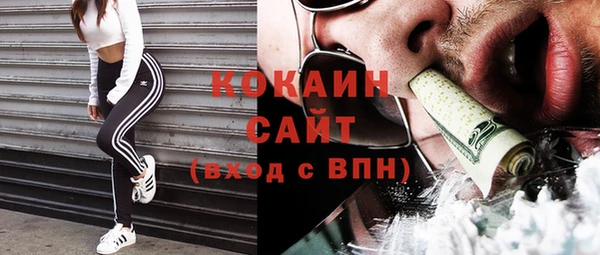 дживик Гусь-Хрустальный