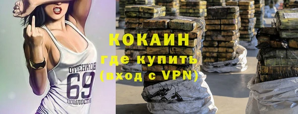 дживик Гусь-Хрустальный