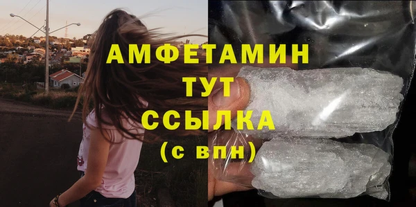 стафф Гусев