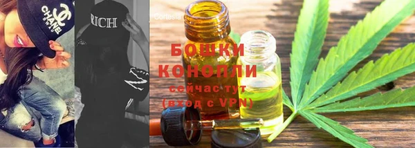 стафф Гусев