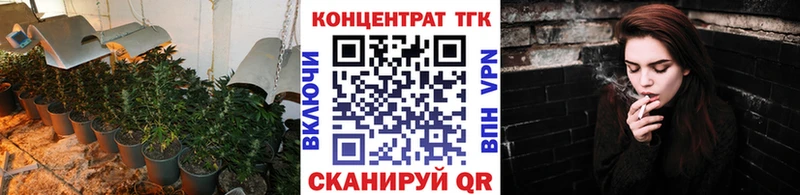 Купить закладки Кимры ТГК Wax