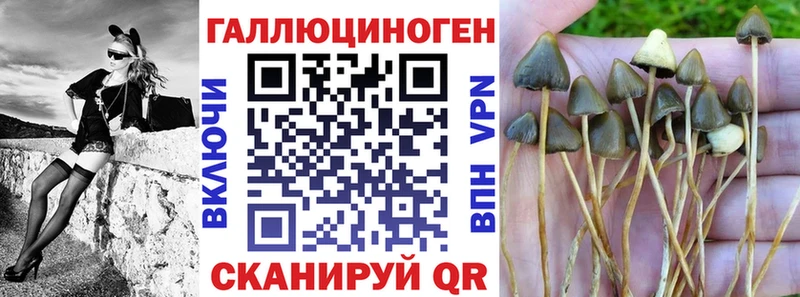 Купить закладки  Кимры  Галлюциногенные грибы MAGIC MUSHROOMS 